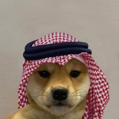 kol pfp
