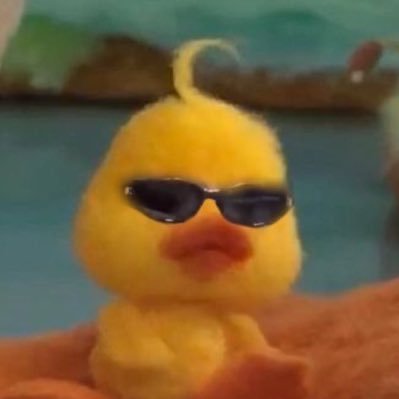 kol pfp