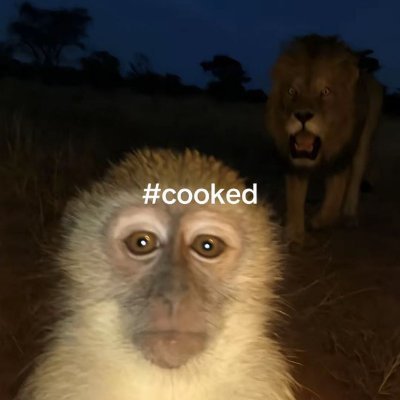 kol pfp