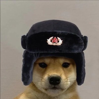 kol pfp
